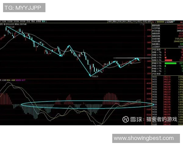 杭州排球队与西安排球队的赛后复盘与节奏分析