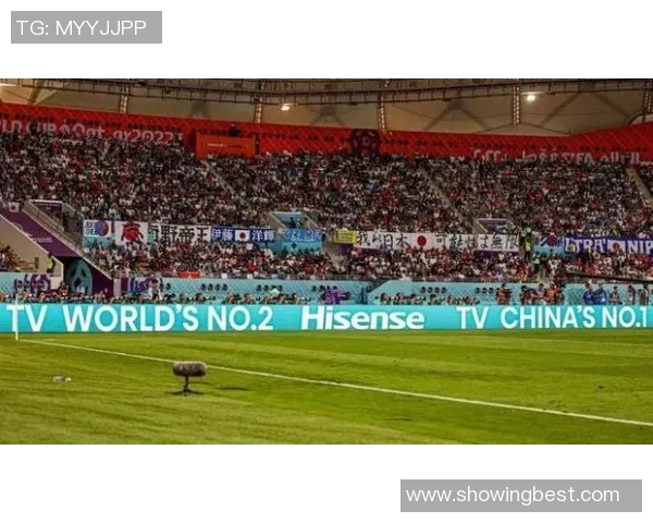 上海排球队的速度之美：探秘排球运动中的快速反应与战术运用