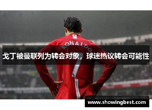 戈丁被曼联列为转会对象，球迷热议转会可能性