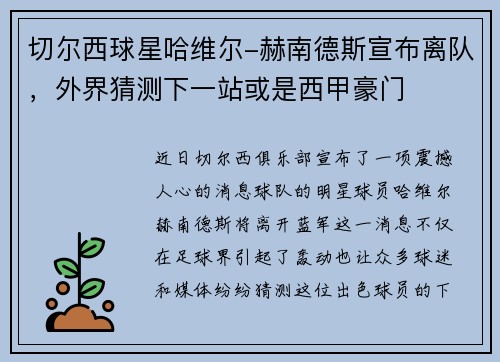 切尔西球星哈维尔-赫南德斯宣布离队，外界猜测下一站或是西甲豪门