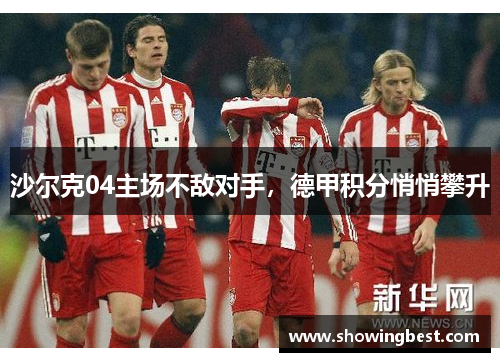 沙尔克04主场不敌对手，德甲积分悄悄攀升