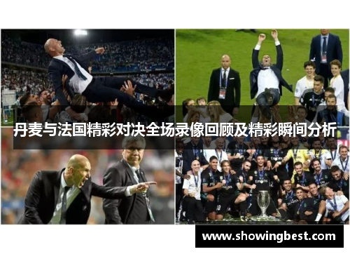 丹麦与法国精彩对决全场录像回顾及精彩瞬间分析